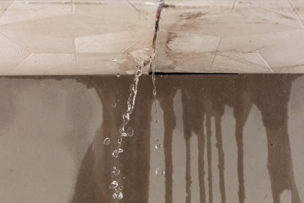 Professional Structural Drying technician working in Pandora, TX